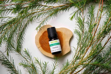 【魔女自產精油】茶樹