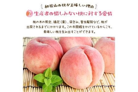 フルーツ王国　和歌山の桃　品種おまかせ6～9玉（約2kg入り）化粧箱入り ※北海道・沖縄・離島への配送不可※着日指定不可