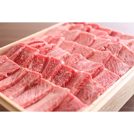 ふるさと納税 飛騨市推奨特産品飛騨牛　希少部位入り福袋　焼肉セット　総重量１２００ｇ[F0008nn] 岐阜県飛騨市