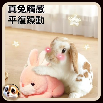【XL-LX】兔子發情啪啪兔 兔子發泄玩具 仿真毛絨玩偶 公母兔發情緩解 伴侶玩偶