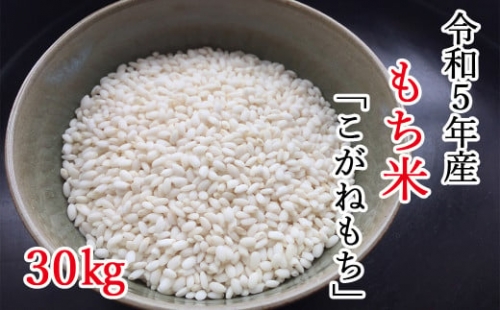 平泉町産もち米 こがねもち 30kg（30kg×1袋）