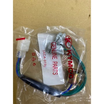 如意125/勾引100（大燈泡線組）$99