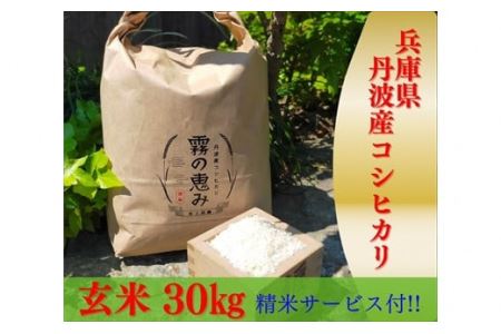 丹波産コシヒカリ玄米30kg