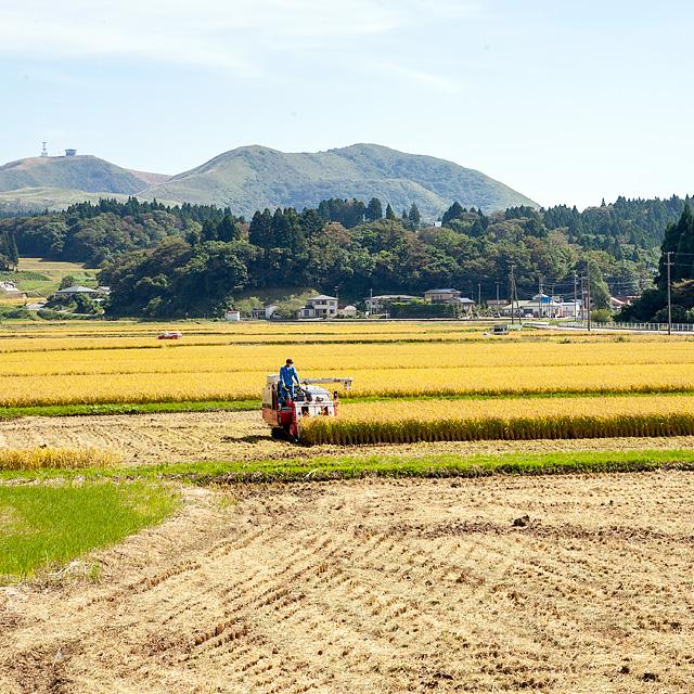 高桑ファーム 男鹿天然にがり栽培 あきたこまち「なまはげにがり米」5kg