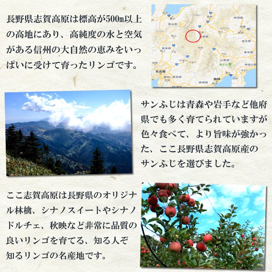 サンふじ りんご 化粧箱 甘い 特秀 長野県 林檎 通販 送料無料 12月 旬 果物 贈答 ギフト 6玉