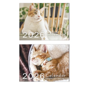 2026年 A4貓咪月曆【九乘九購物網】
