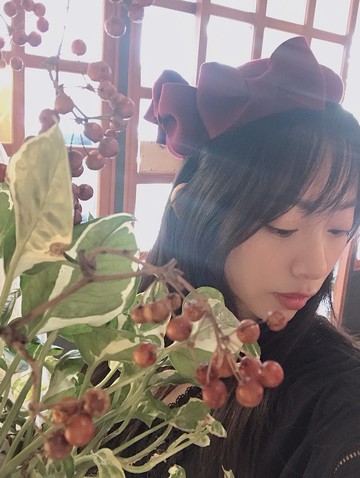 英式手工經典貝蕾- Princess Violet