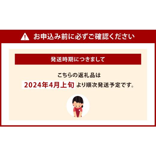 ふるさと納税 福岡県 北九州市 若松濃縮トマト 1.2kg箱 15玉〜30玉入り 福岡県 北九州市 若松区産