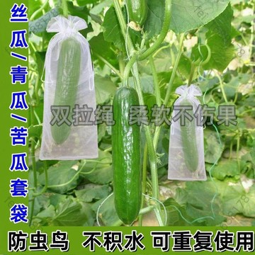 【臺灣有貨 免運】尼龍雙拉繩】黃瓜青瓜網套袋防蟲鳥水果套袋絲瓜苦瓜茄子保護網袋