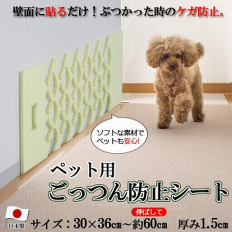 ペット 壁 吸着 ごっつん防止クッション 犬 壁 シート 犬 壁 保護 通販 Lineポイント最大3 0 Get Lineショッピング