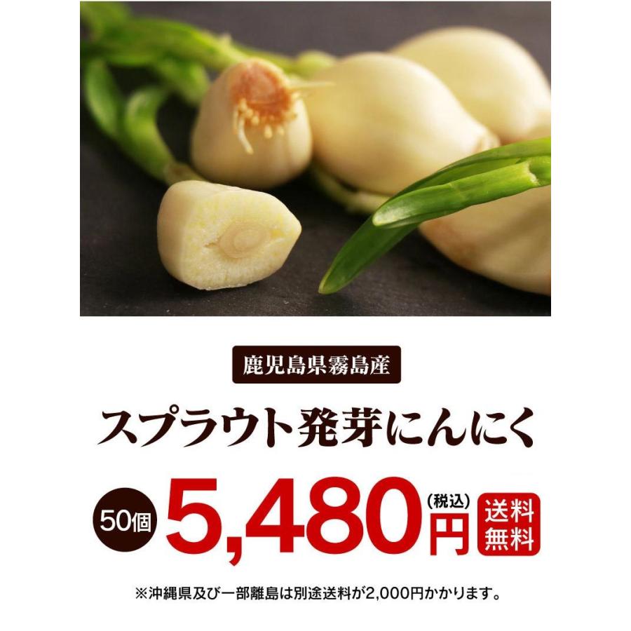 スプラウト発芽にんにく 50個(10個×5袋) 送料無料 鹿児島県 霧島産  ニンニク 川越農園 農家直送 冷蔵便 大嶌屋（おおしまや）