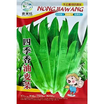 台灣現貨 【原裝四季香油麥菜種子】 生菜 鵝仔菜 A菜 小麥菜 萵苣種子 蔬菜籽 家庭菜園 陽台盆栽 好種快收 當季可播
