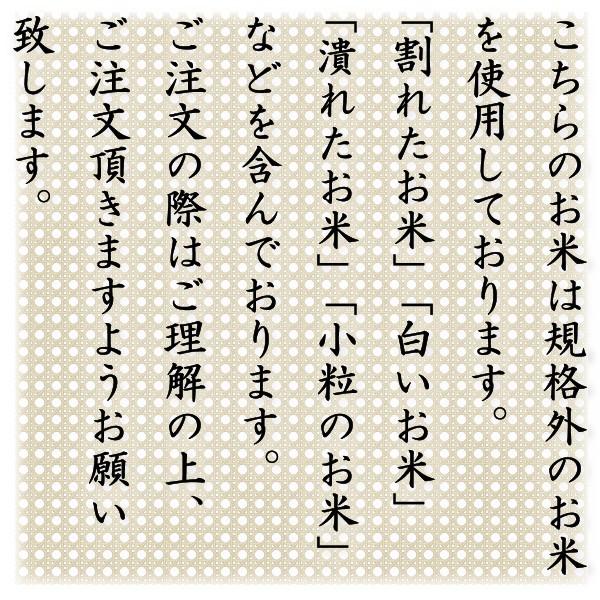 お米 米 20kg 白米 当店お得米 一粒の夢 訳あり 通販商品 あすつく 令和5年版 規格外米 10kg2個 くまもとのお米 熊本 富田商店 ノークレーム ノーリターン