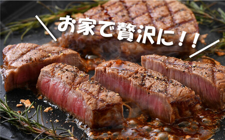 [002-b003] 肉専門店が厳選！福井県産 若狭牛 ヒレステーキ 300g （150g × 2枚）お家で贅沢！