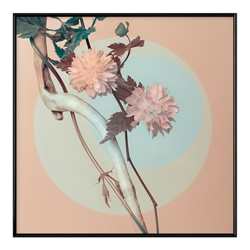 BOLUO GALLERY 菠蘿選畫所 花 東方倩影 BFFB4416D  40 x 40cm  木色