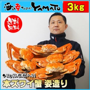 本ズワイ蟹姿造り 3kg(5～8尾入り)   カニ かに ずわいがに ズワイガニ お年賀 贈答  お中元 お歳暮 ギフト kst23