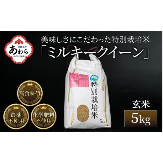 ふるさと納税 福井県 あわら市 令和5年産新米 ミルキークイーン 玄米 5kg 特別栽培米 農薬不使用 化学肥料不使用 ／ 高品質 鮮度抜群 福井県産 ブランド米 自…