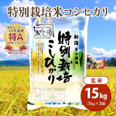 ふるさと納税 上越市 令和5年産|新潟上越三和産|特別栽培米コシヒカリ(従来種)15kg(5kg×3)玄米