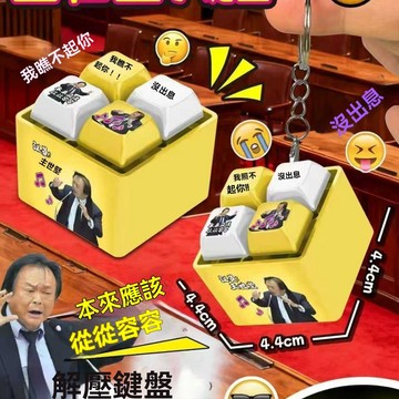 ⚡台灣24H⚡新款從從容容發光語音發音按鍵 堅哥語音 從從容容游刃有餘按鍵 沒出息 發光鑰匙圈 解壓按鍵