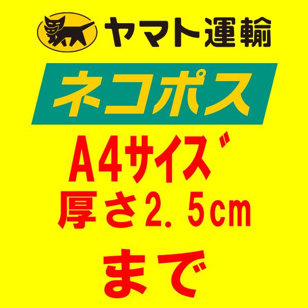 つり人社　バサー 2023年12月号　ネコポス対応商品