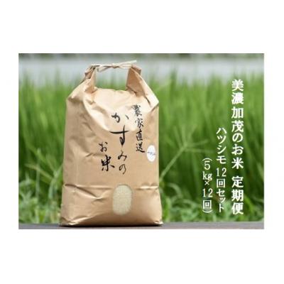 ふるさと納税 美濃加茂市 令和5年産米 美濃加茂の お米 定期便 毎月12回セット(5kg×12回)