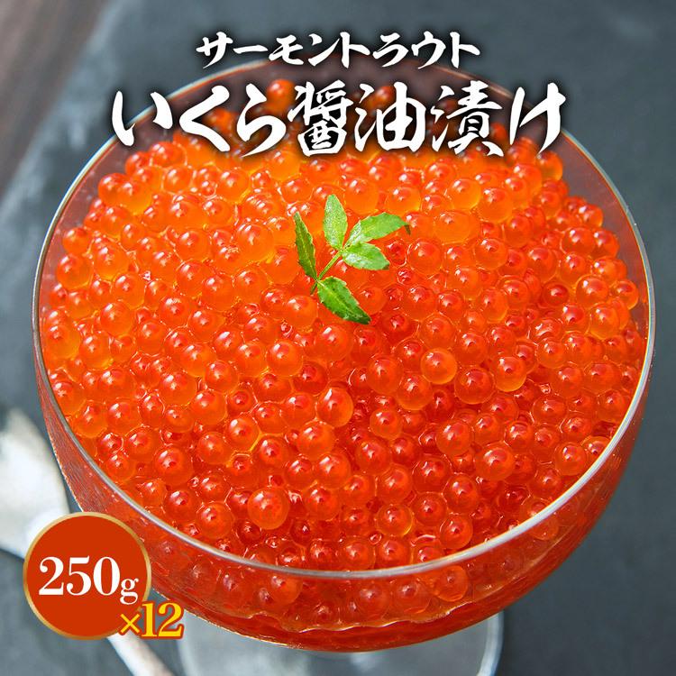 いくら 醤油漬け 250g×12パック 計3kg 粒は小さいけど味は抜群！ サーモン トラウト イクラ 丼 軍艦 ギフト