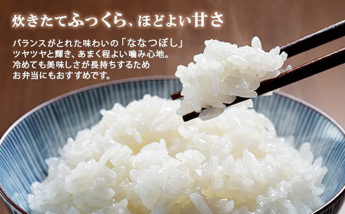 定期便 隔月3回 北海道産 ななつぼし 精米 20kg 5kg×4袋 米 新米 特A 白米 お取り寄せ ごはん 道産米 ブランド米 まとめ買い お米 ホクレン 北海道 倶知安町 