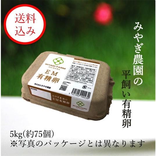 みやぎ農園の平飼い有精卵　(5kg※約80個)