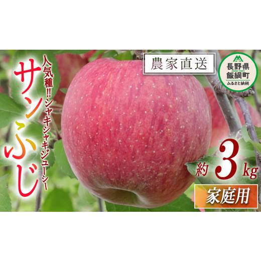 ふるさと納税 長野県 飯綱町 りんご サンふじ 家庭用 3kg 大友農場 エコファーマー認定 沖縄県への配送不可 2023年12月中旬頃から2024年1月下旬頃まで順次発送…