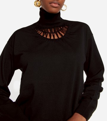 Dries Van Noten Turtleneck wool sweater