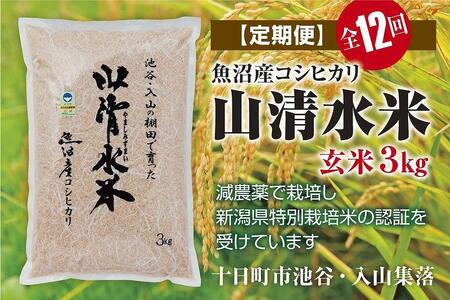 玄米3kg　新潟県魚沼産コシヒカリ「山清水米」