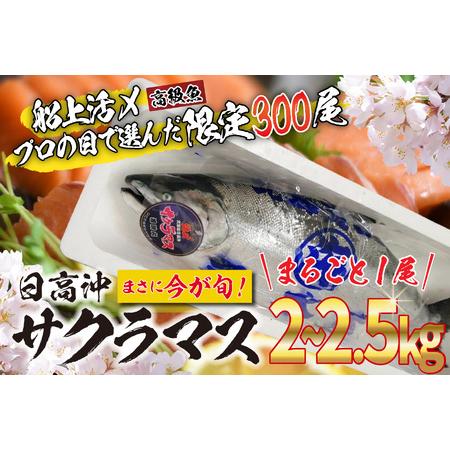 ふるさと納税 ＜2024年5月から順次発送＞ 北海道産 サクラマス 2〜2.5kg まるごと 1尾 ＜ 予約商品 ＞ 北海道新ひだか町