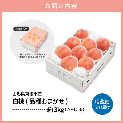 ふるさと納税 東根市 白桃 (品種おまかせ)  3kg (7〜12玉)  東根農産センター提供