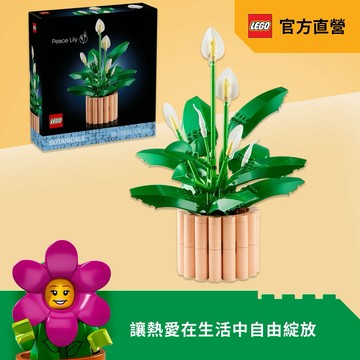 💝【LEGO樂高】 Botanicals 11504 白鶴芋🏡