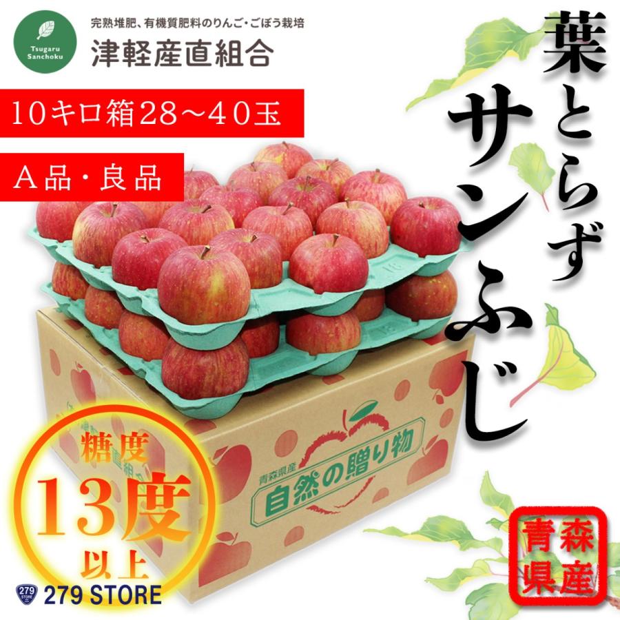 只今発送中！産地直送♪ 糖度13度以上 葉とらずサンふじ A品 10キロ箱 28〜40玉 内容量 約10キロ 津軽産直組合直送 津軽りんご 青森県産