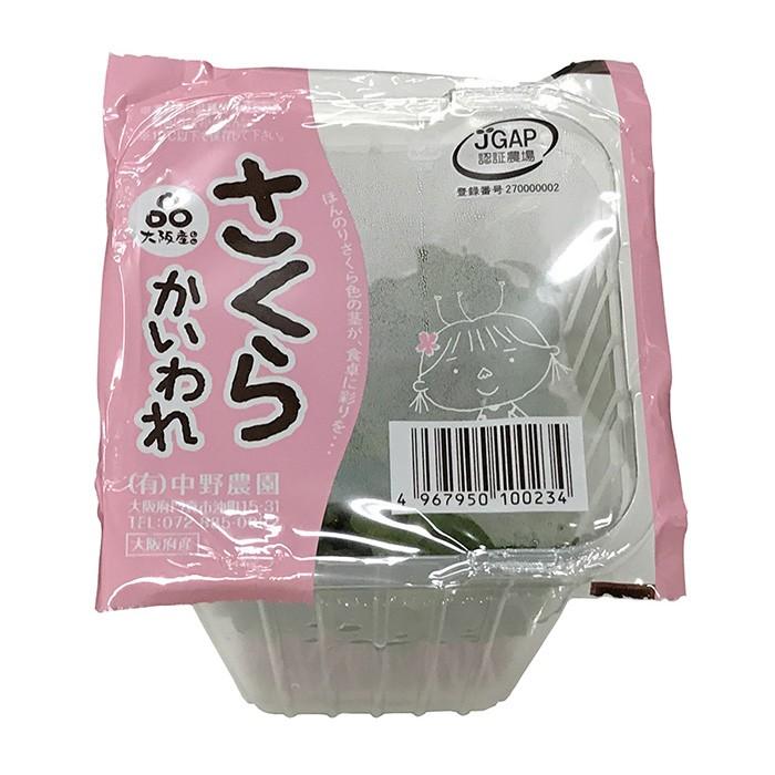 大阪府産　さくらかいわれ　20個入り（箱）