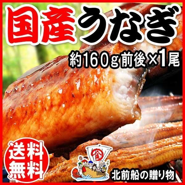 うなぎ 蒲焼き 国産 ギフト 鰻 うなぎ蒲焼き 九州産 1尾 大(約150g〜170g前後×1尾) 鰻 宮崎・鹿児島県産 送料無料