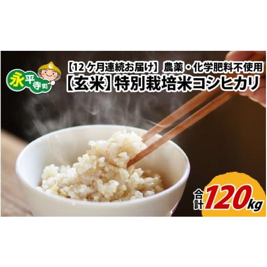 ふるさと納税 福井県 永平寺町  令和5年度産 永平寺町産 農薬不使用・化学肥料不使用 特別栽培米 コシヒカリ 10kg×12ヶ…