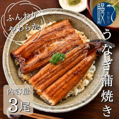 ふるさと納税 蟹江町 国産うなぎ蒲焼き　3尾セット