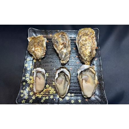 ふるさと納税 北海道 厚岸産 殻付き 牡蠣 Lサイズ 14個 北海道厚岸町