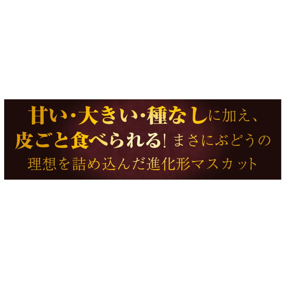 ぶどう 1房 冬出し シャインマスカット 長野産 約600g前後 大房 ご家庭用 送料無料 国華園