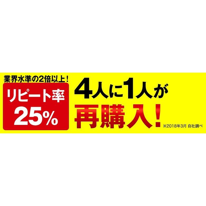 札幌極みスープカレー 業務用20食 送料無料 スープカレー レトルト カレー 大容量 北海道 チキン10食・豚角煮10食 ギフト 飲食店 レストラン ホテル 卸