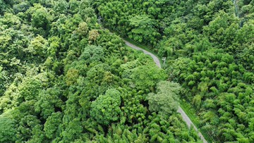 尖石便宜原保地｜新竹縣尖石鄉義興