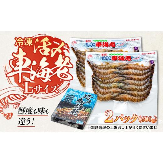 ふるさと納税 鹿児島県 屋久島町 活き〆冷凍 車海老 Lサイズ 計600g  鹿児島県産 (養殖)