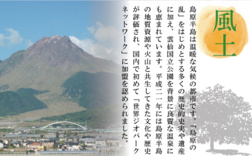  こだわりの麺匠が創る 島原 手延 素麺 40束   そうめん 南島原市   ふるさと企画 [SBA005]