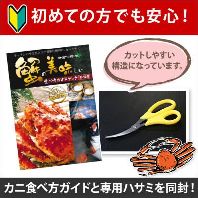 ふるさと納税 弟子屈町 毛蟹 姿 2尾 計1.2kg前後 ボイル 食べ方ガイド・専用ハサミ付 北海道 弟子屈町 1217