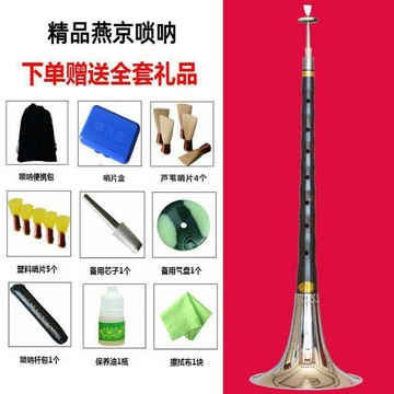 【熱銷爆款】烏木紅花梨木嗩吶樂器全套初學者成人專業民族樂D調入門嗩吶