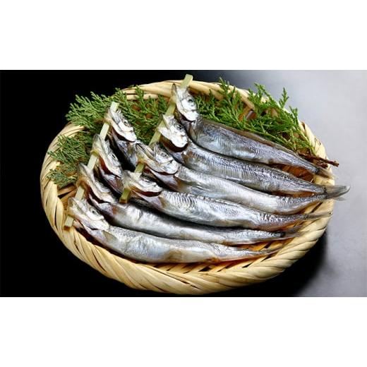 ふるさと納税 北海道 赤平市 子持ちからふとししゃも 約1.6kg(800g×2) 樺太 魚シシャモ メス おつまみ