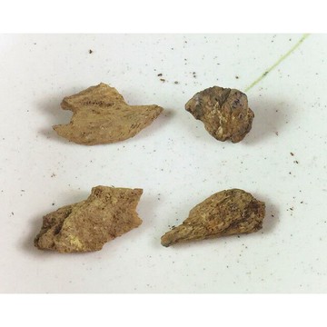 沉水~越南富森紅土沉香【周錦香】約1.01g 越南正區 濃甜蜜韻 甘醇奶香【特惠$3500】福森紅土 薰香 水沉#2