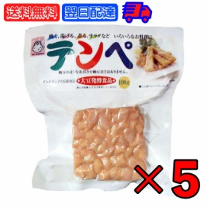 ヤマク テンペ 100g 5個 ヤマク食品 スパウトパック スパウト パック 個包装 小分け 大豆 大豆ミート エスニック 発酵食品 テンペ菌 ヴィ